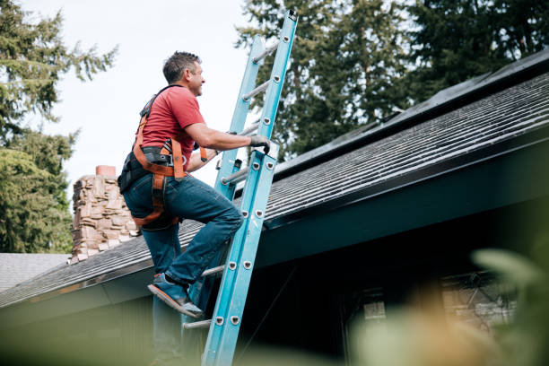 Best Skylight Installation and Repair  in Luray, VA